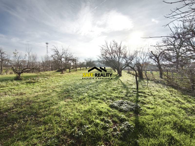 Zahrada u rodinného domu v Lúčnici nad Žitavou se stromy a travnatým porostem.