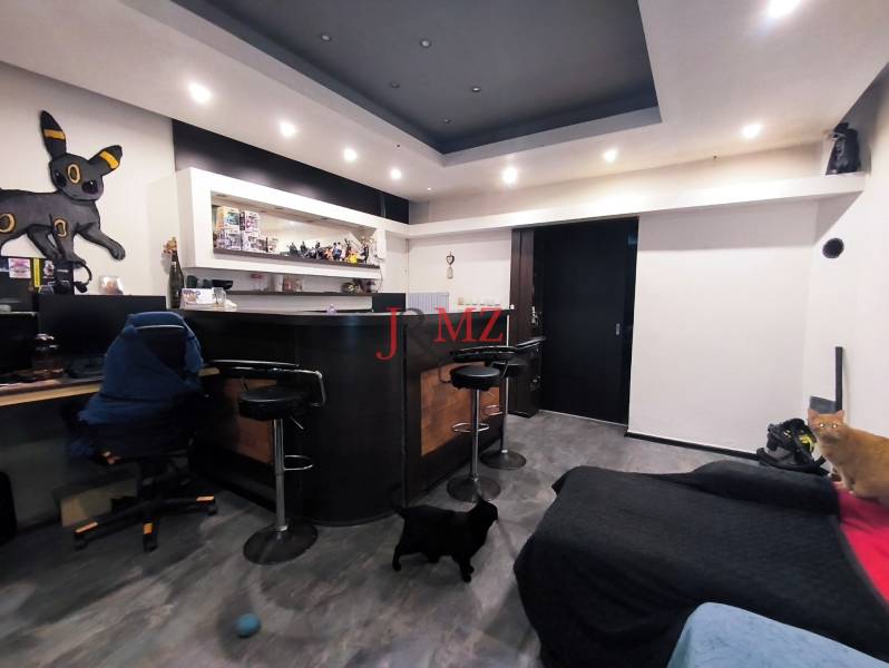 Pokoj v rodinném domě s barovým pultem, počítačovým stolem a dvěma kočkami.