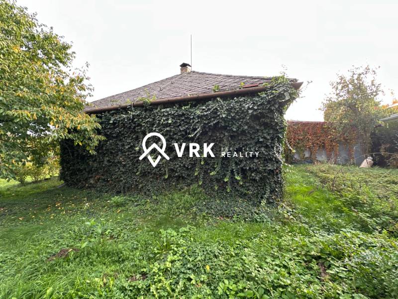 Rodinný dům v Kalši porostlý hustým břečťanem a obklopený zelení.