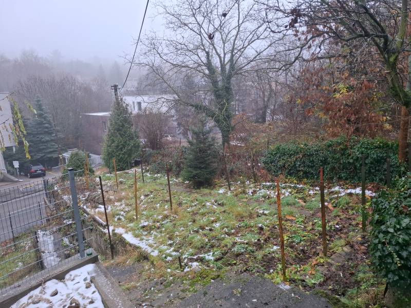 Zahrada s listnatými stromy u rodinného domu na Búdkové ulici v Bratislavě - Starém Městě.