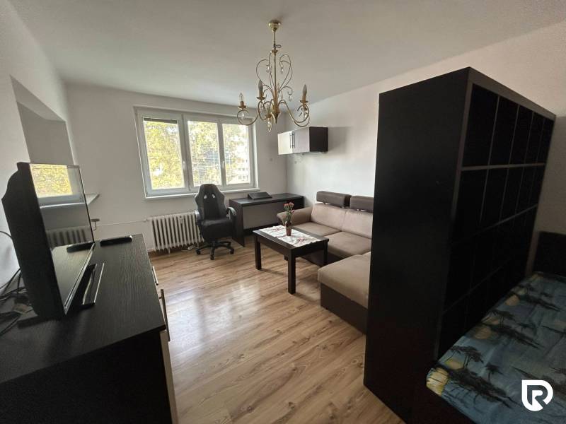 Obývací pokoj v jednopokojovém bytě s pohovkou, stolkem a podlahou s dřevěným dekorem.