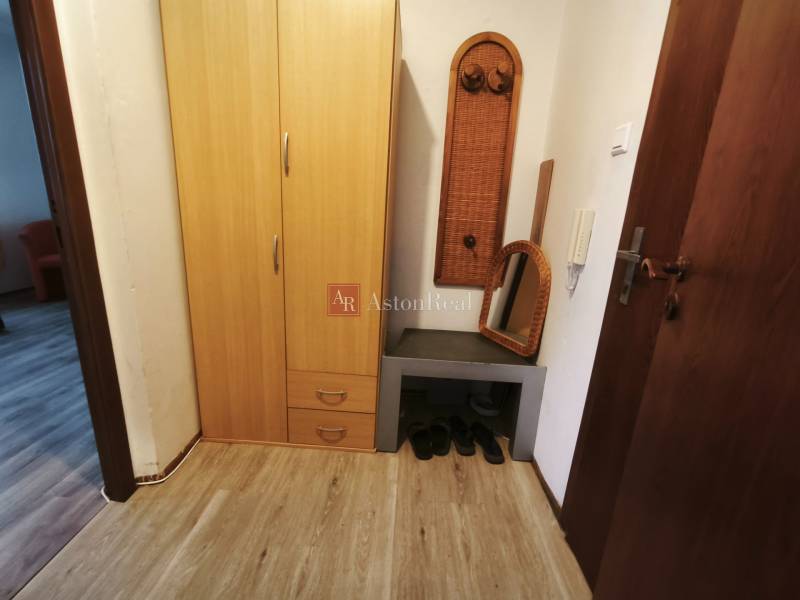 Předsíň 1-pokojového bytu s policí, zrcadlem, skříní a podlahou s dřevěným dekorem.