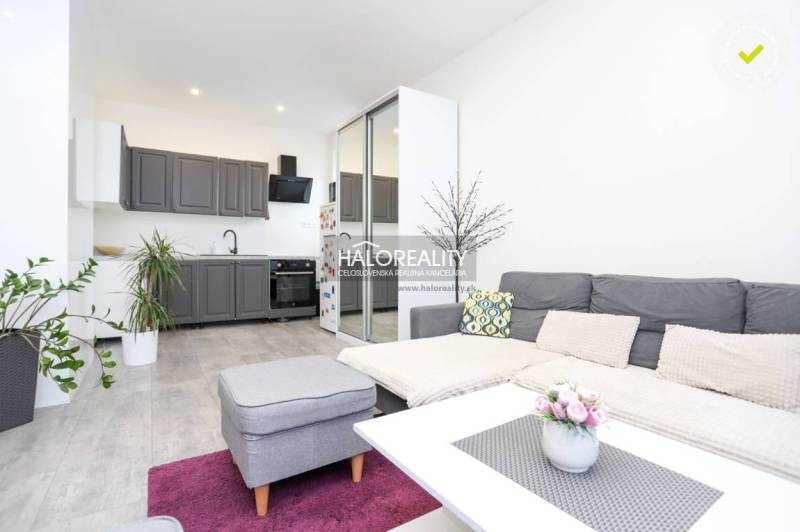 Obývací pokoj v 2-pokojovém bytě s kuchyňskou linkou a podlahou s dřevěným dekorem.