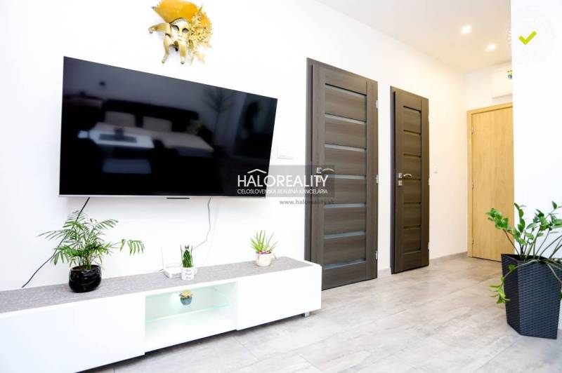 Obývací pokoj v dvoupokojovém bytě s televizí, dvěma dveřmi a rostlinami.