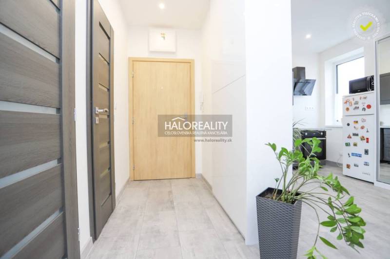 Chodba v 2-pokojovém bytě s dlažbou, dřevěnými dveřmi a rostlinou v květináči.