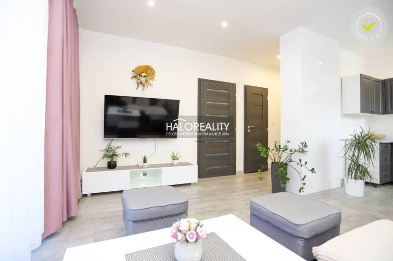 Obývací pokoj v 2pokojovém bytě s televizí, rostlinami a podlahou s dřevěným dekorem.