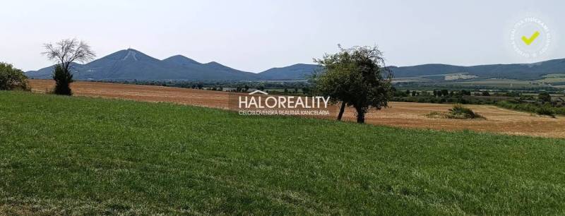 Travnaté a zemědělské pozemky v okolí města Čerhov, ideální pro bydlení.