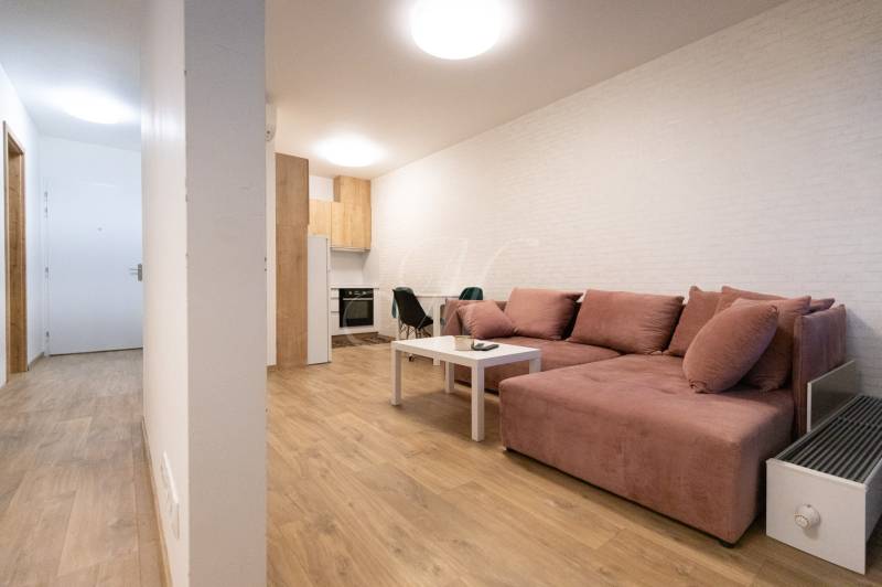 Obývací pokoj v 2-pokojovém bytě s pohodlnou sedačkou a podlahou s dřevěným dekorem.