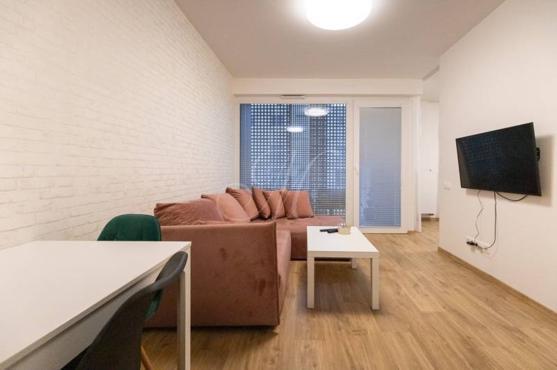 Obývací pokoj v dvoupokojovém bytě s pohovkou, televizí a podlahou s dřevěným dekorem.