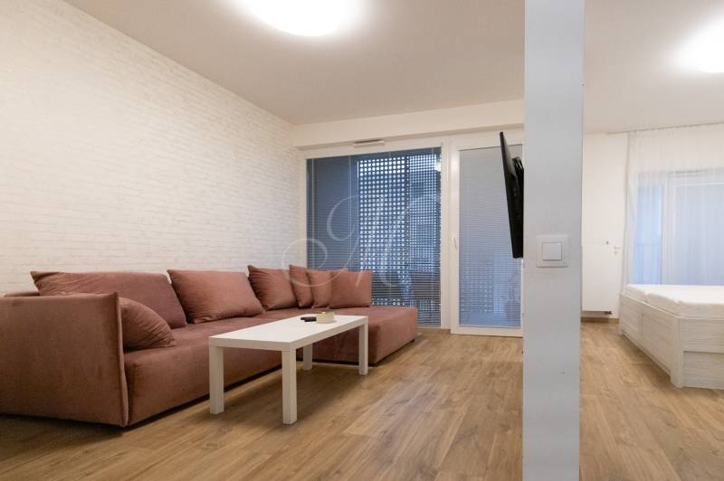 2-pokojový byt s podlahou s dřevěným dekorem, pohovkou a televizí na stěně.