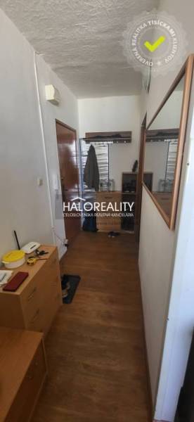 Vstupní chodba v 1-pokojovém bytě s podlahou s dřevěným dekorem, zrcadlem a úložnými prostory.