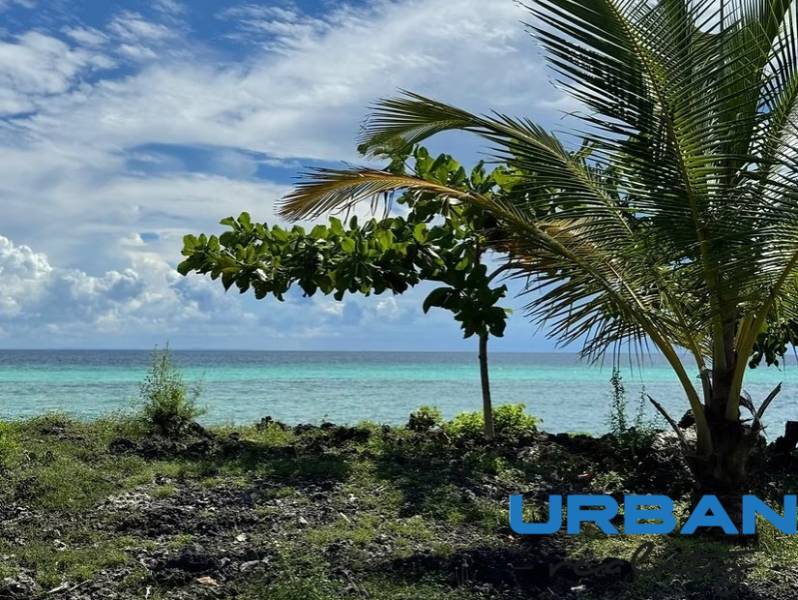 Pobřeží v Kizimkazi vhodné pro pozemky - komerční s výhledem na oceán a palmami.