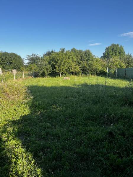 Zahrada u rodinného domu v Diakovcích s bujnou trávou a zelenými keři.