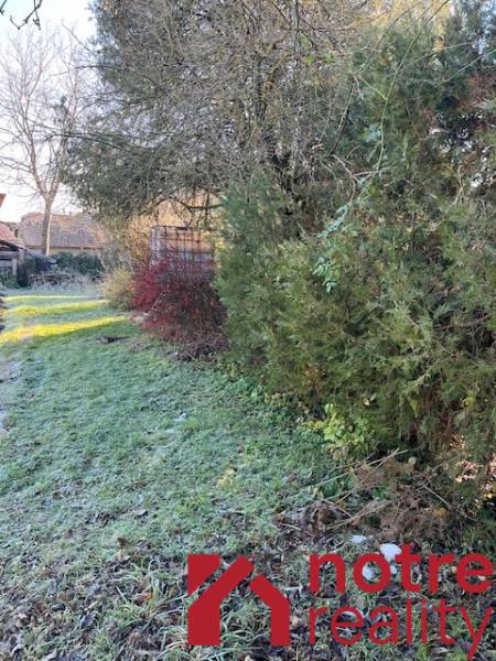 Zahrada rodinného domu v Tomášovcích s hustou vegetací a travnatou plochou.