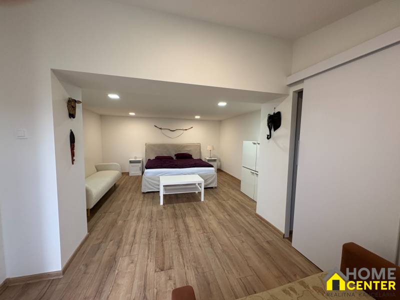 1pokojový byt s postelí, pohovkou a podlahou s dřevěným dekorem.