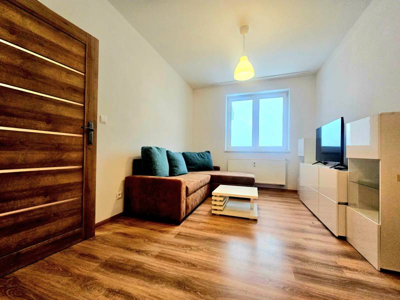 Obývací pokoj v 2-pokojovém bytě s pohovkou a podlahou s dřevěným dekorem.