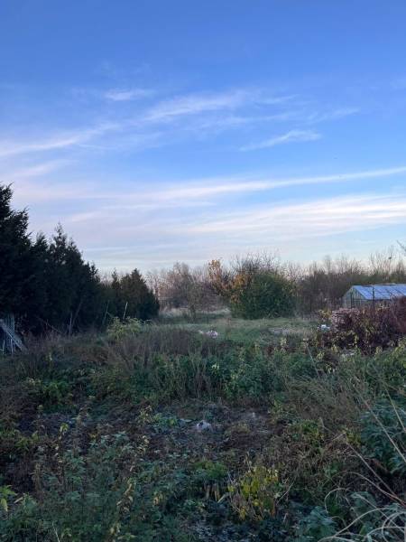 Zahrada u rodinného domu v Kajali se zelení a modrou oblohou.