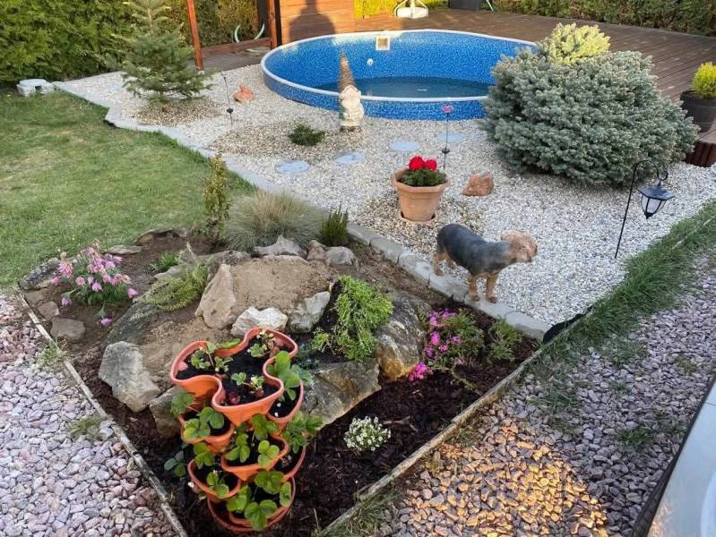 Zahrada v Kráľové nad Váhom u chaty s bazénem, květinami a psem.