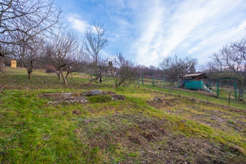 Zahrada s ovocnými stromy u chaty poblíž Prešova, obklopená přírodou.