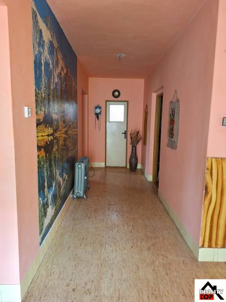 Chodba v rodinném domě s podlahou s dřevěným dekorem a nástěnnou dekorací.