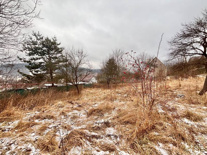 Sněhem pokryté pole a stromy u rodinného domu na Poľane ve Skalitém.