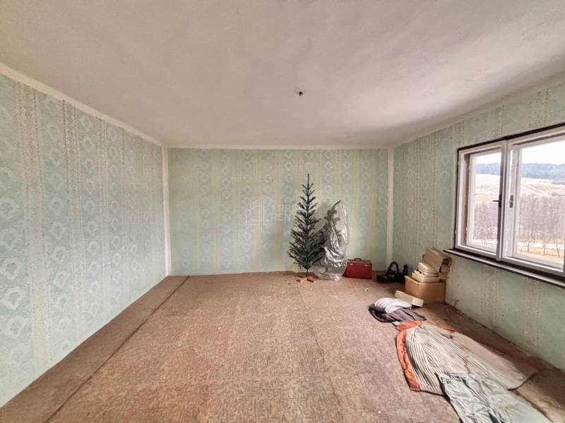 Pokoj v rodinném domě s modrými tapetami, stromek, okno a uložené předměty.