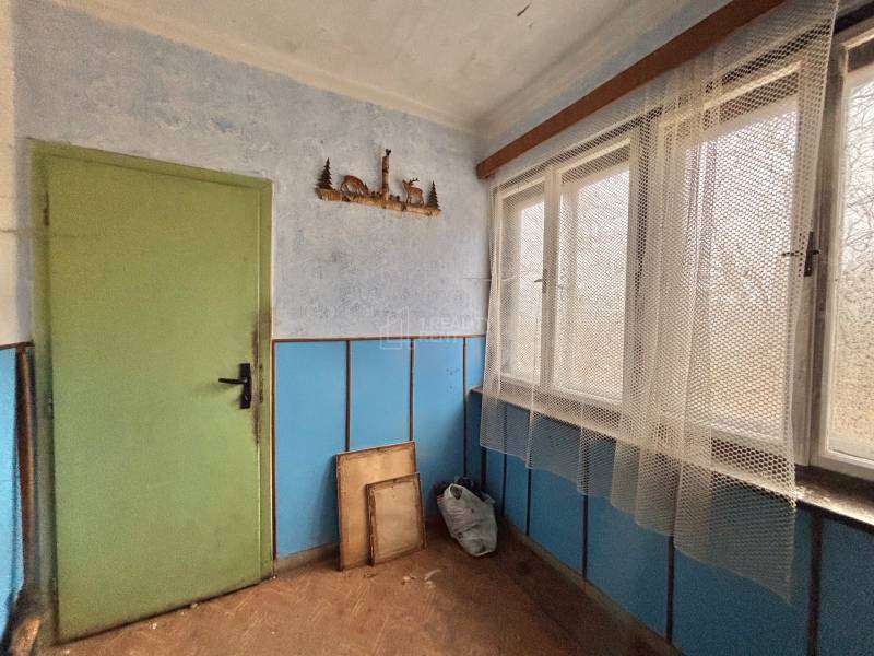 Interiér rodinného domu s podlahou s dřevěným dekorem, modrými stěnami a zelenými dveřmi.