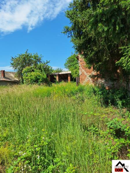 Zarostlý pozemek na bydlení v Radzovcích s viditelnými stromy a starou stavbou.
