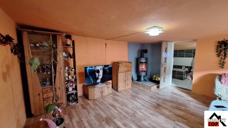 Obývací pokoj s podlahou s dřevěným dekorem, krbem a televizorem v rodinném domě.