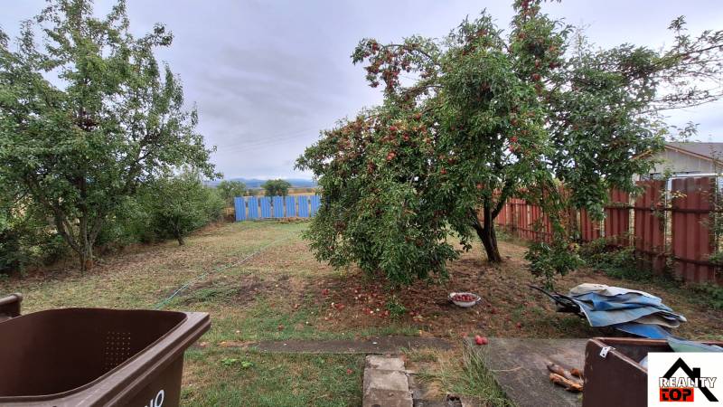 Rodinný dům v Zacharovcích s ovocnými stromy v zahradě a dřevěným plotem.