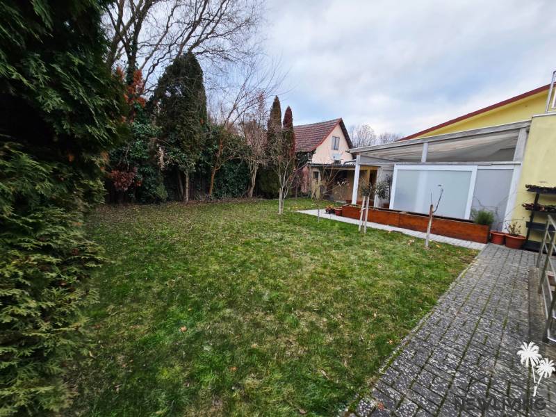 Zahrada u domu na Lesní ulici v Bance s trávníkem a terasou.