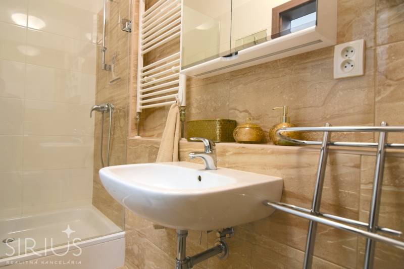 Koupelna s umyvadlem, sprchou a zrcadlovou skříňkou v 2pokojovém bytě.