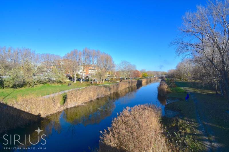 Poklidná řeka obklopená parkem na Antolské v Bratislavě - Petržalce.