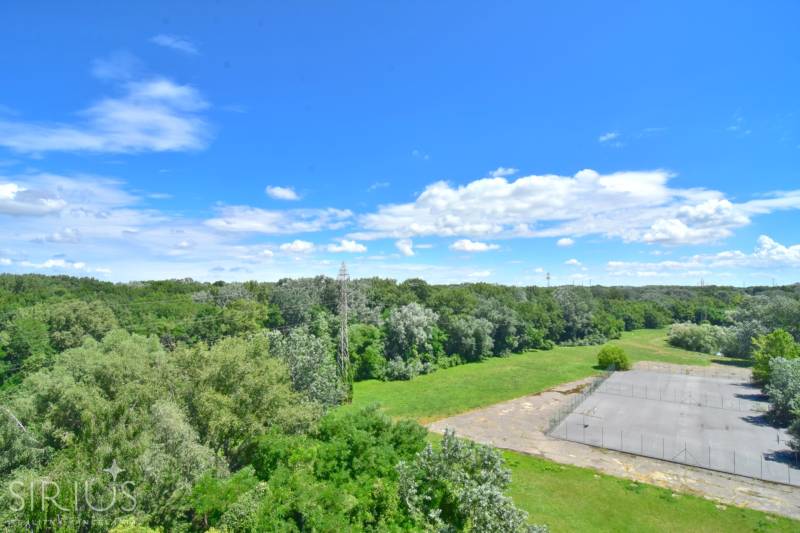 Pohled na zelené lesy a opuštěný sportovní areál v Bratislavě na Antolské ulici.