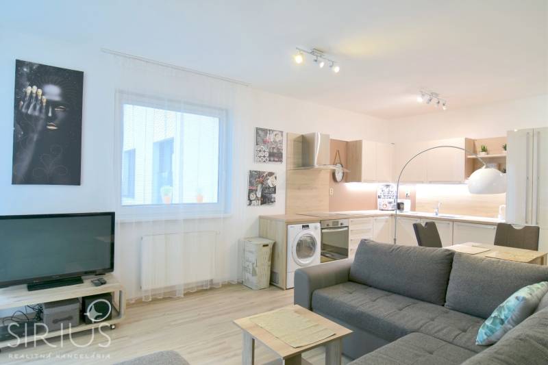 Obývací pokoj s kuchyňským koutem, sedačkou a podlahou s dřevěným dekorem ve 2pokojovém bytě.