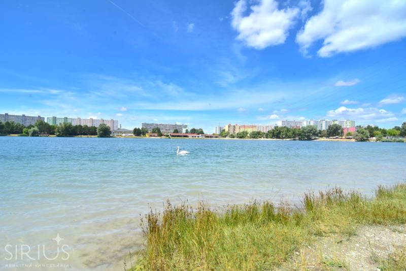 Velké jezero s labutí, pozadí tvoří paneláky Bratislava - Petržalka na Antolské.