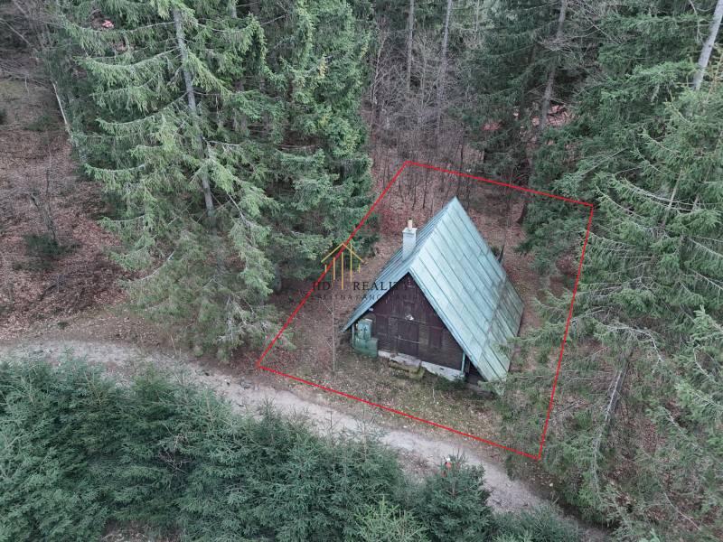 Chata v lese na Krpáčově, Krpáčovo, obklopená hustými jehličnatými stromy a lesní cestou.