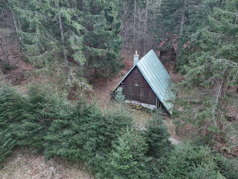 Lesní chata v Krpáčově na ulici Krpáčovo obklopená jehličnatými stromy.