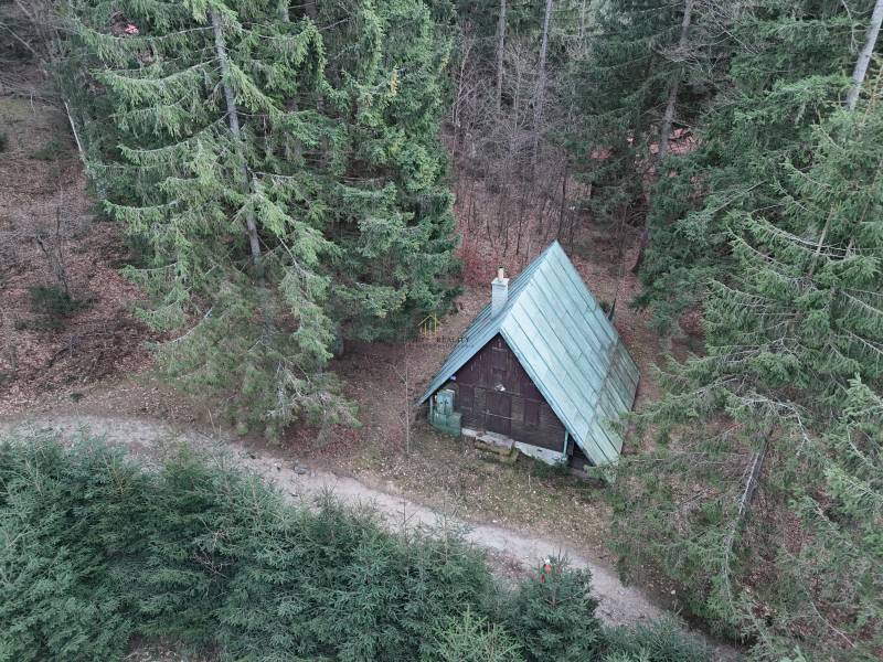 Chata uprostřed lesa v Krpáčově na Krpáčově obklopená hustými stromy.