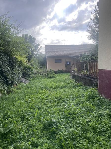 Zahrada vedle rodinného domu v Šali, obklopená bujnou zelení a stromy.