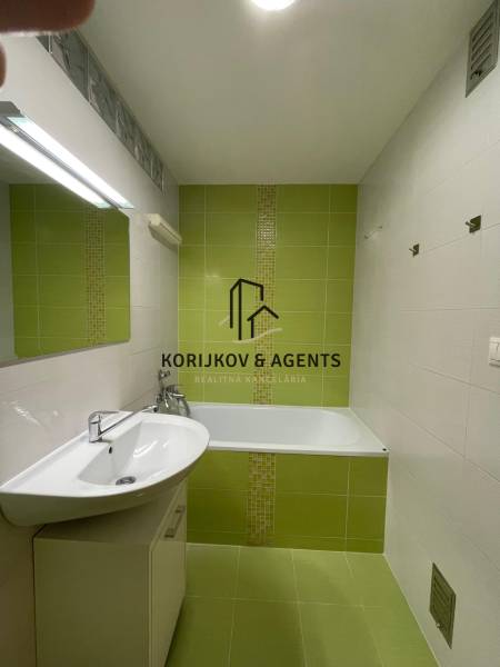 Koupelna v 2-pokojovém bytě se zelenými obklady, umyvadlem a vanou.