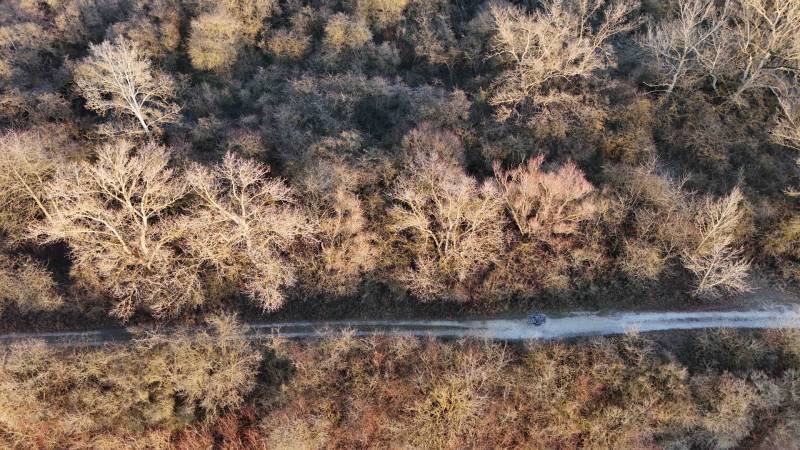 Letecký pohled na lesní cestu v Rekreačních pozemcích u Nové Vsi nad Váhom.