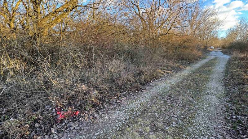 Lesní cesta v Rekreačních pozemcích v Nové Vsi nad Váhom lemovaná stromy a keři.