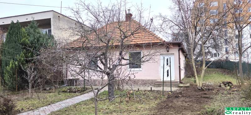 Rodinný dům na ulici 29. srpna v Levicích obklopují stromy a zahrada.