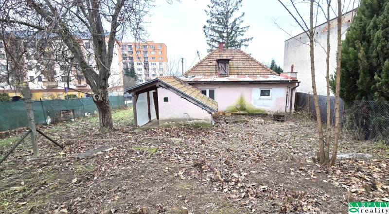 Zahrada a starší rodinný dům na ulici 29. srpna v Levicích.