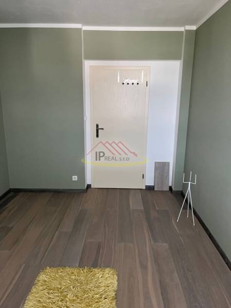 Místo ve 4-pokojovém bytě s podlahou s dřevěným dekorem a zelenou stěnou.