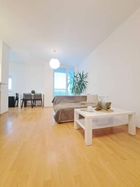 Obývací pokoj v 2-pokojovém bytě s podlahou s dřevěným dekorem, pohovka a konferenční stolek.