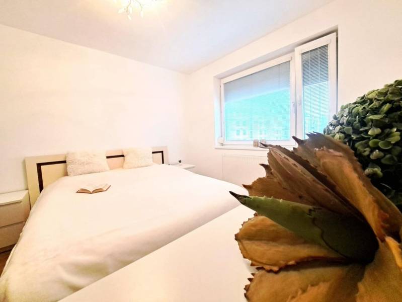 Světlá ložnice s velkou postelí, knihou a rostlinou v 2pokojovém bytě.