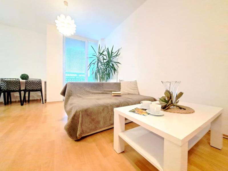 Obývací pokoj v 2-pokojovém bytě s podlahou s dřevěným dekorem, sedačkou a stolkem.