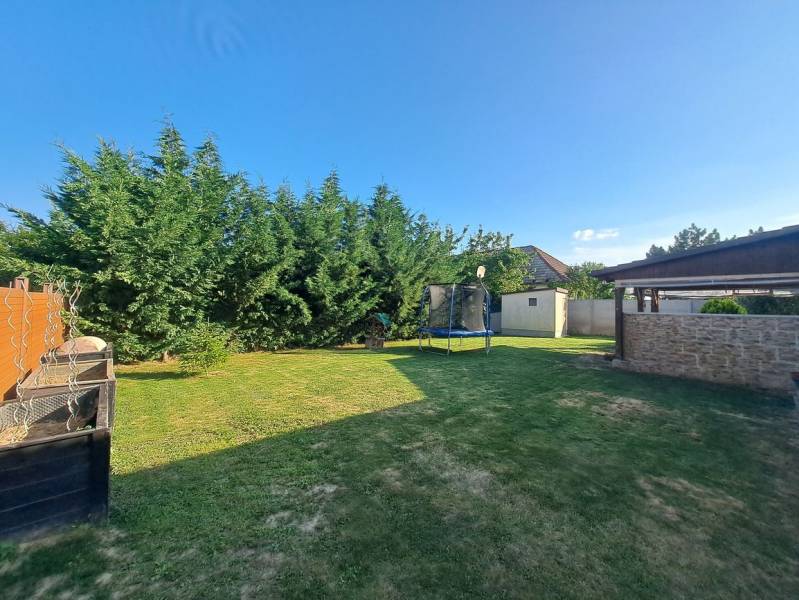 Zahrada rodinného domu v Černém Brodě s trávníkem, trampolínou a hustými jehličnany.